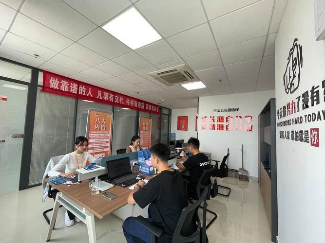 山东三麦方略 融合网络营销与信息系统集成，赋能企业数字化转型